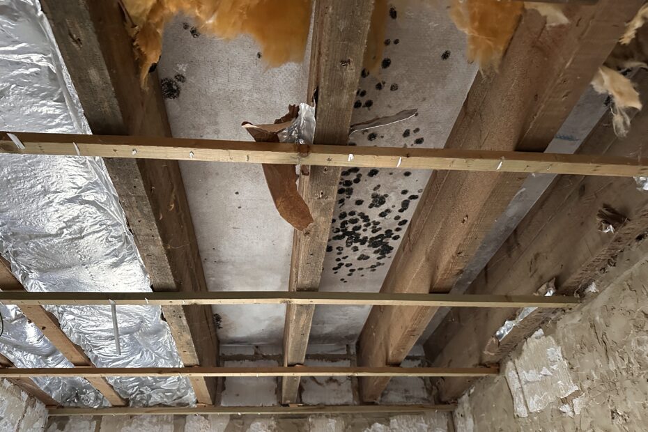 Erreur isolation avec champignon